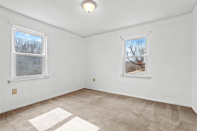 unfurnished room featuring carpet