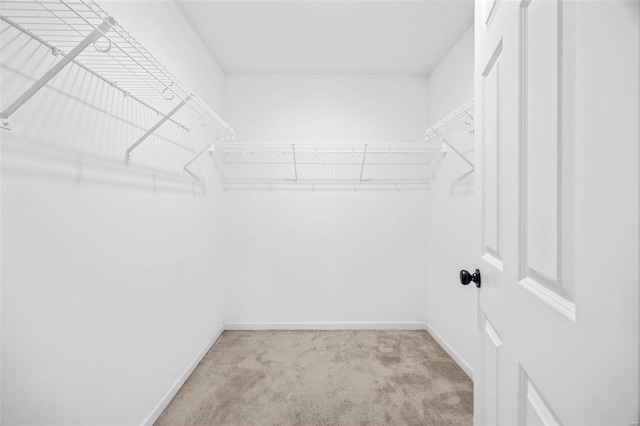 spacious closet with carpet