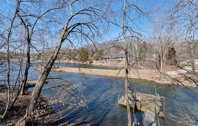 property view of water with a boat dock