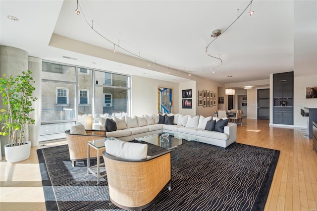 living room featuring rail lighting and light wood-style flooring