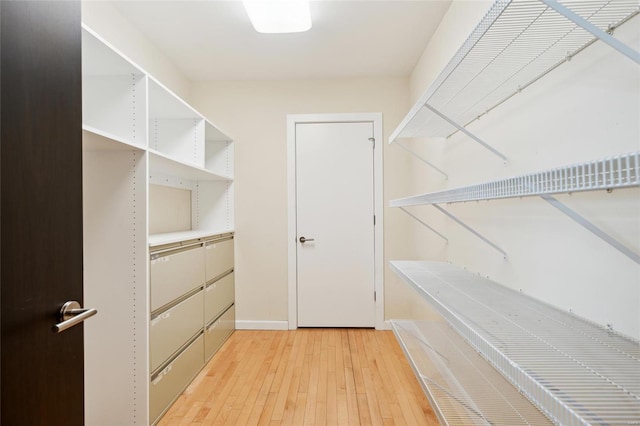 spacious closet featuring wood-type flooring