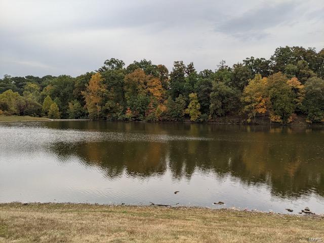 water view with a forest view