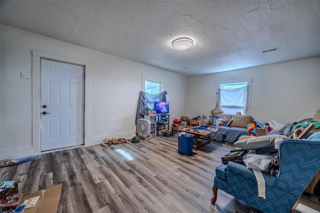 interior space featuring a textured ceiling, plenty of natural light, and wood finished floors