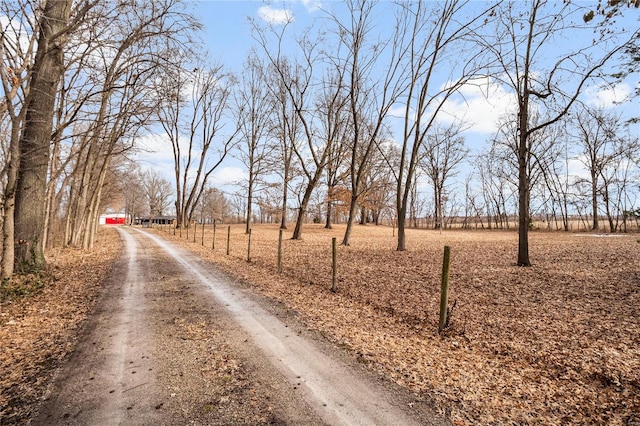 view of road with a rural view and dirt driveway