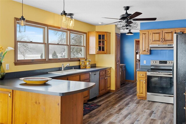 kitchen featuring dark countertops, under cabinet range hood, wood finished floors, stainless steel appliances, and a sink