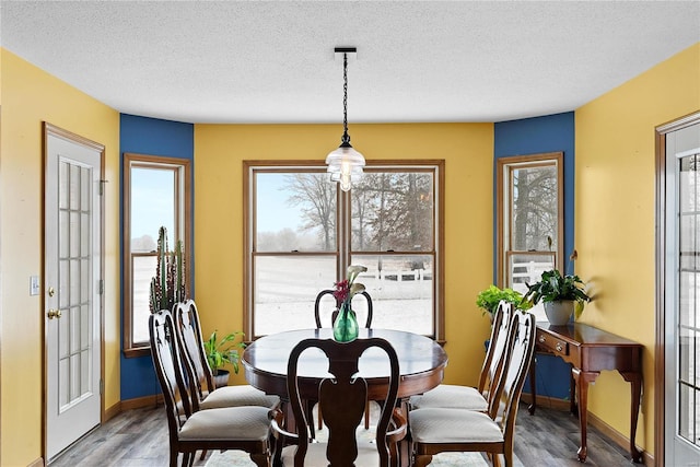 dining room with wood finished floors, baseboards, and a textured ceiling