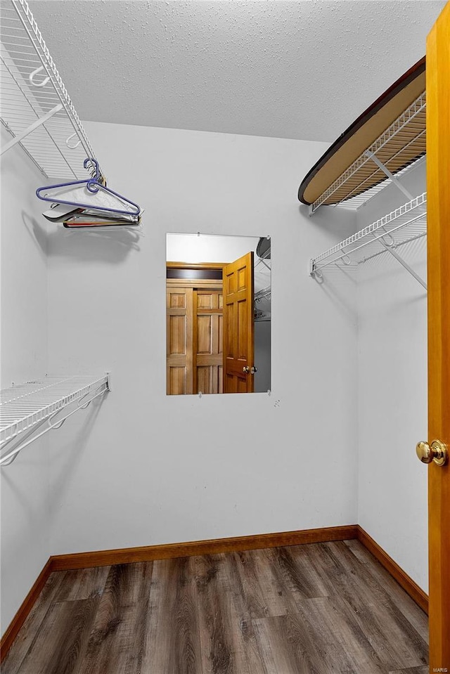 walk in closet featuring dark wood-type flooring