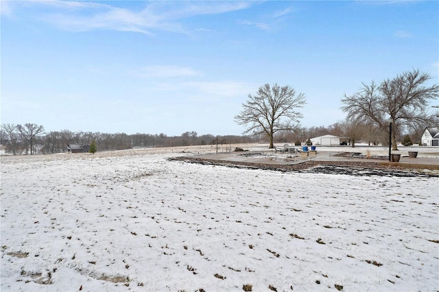 yard covered in snow with an outdoor structure