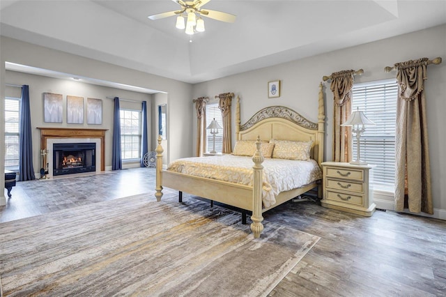 bedroom featuring multiple windows, a tray ceiling, and wood finished floors