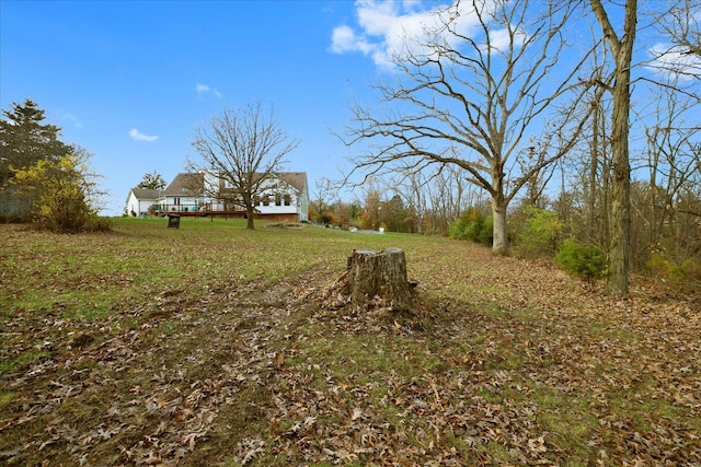 view of yard