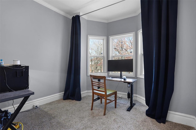 home office featuring crown molding, baseboards, and carpet flooring