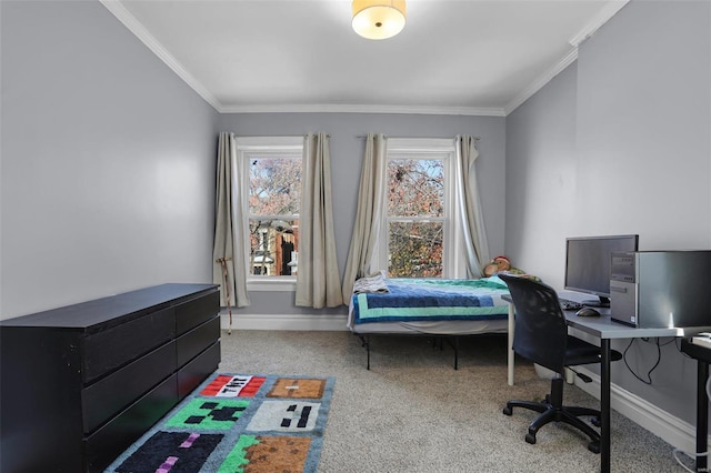 office space with baseboards, carpet, and crown molding