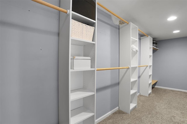 spacious closet featuring carpet