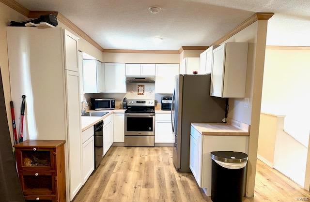 kitchen with appliances with stainless steel finishes, light wood-type flooring, light countertops, and a sink