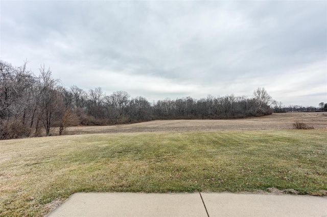 view of yard with a rural view