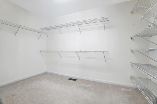 spacious closet featuring carpet