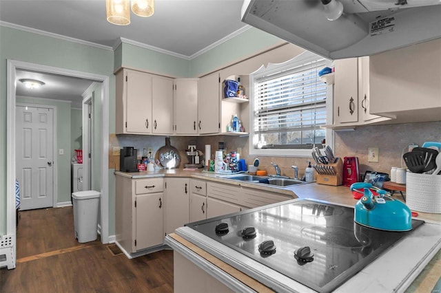 kitchen featuring dark wood-style floors, light countertops, ornamental molding, and a sink