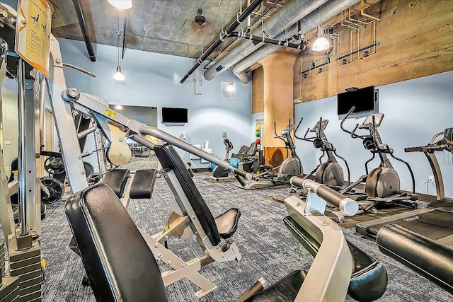 exercise room featuring carpet