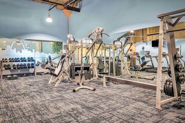 gym with a high ceiling and carpet flooring