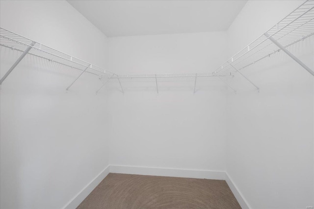 spacious closet with carpet