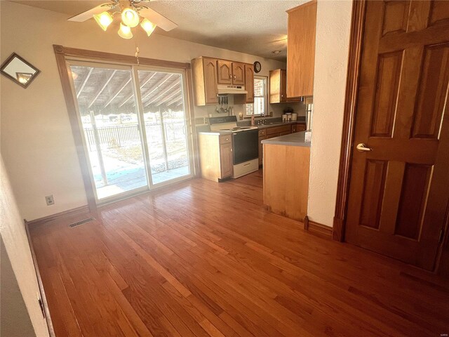 kitchen featuring light wood-style flooring, under cabinet range hood, a sink, a ceiling fan, and electric stove