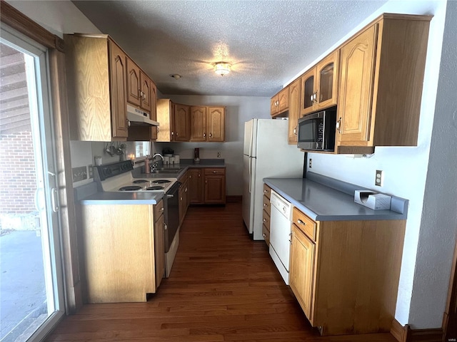 kitchen featuring dark wood-style floors, a sink, a textured ceiling, white appliances, and under cabinet range hood