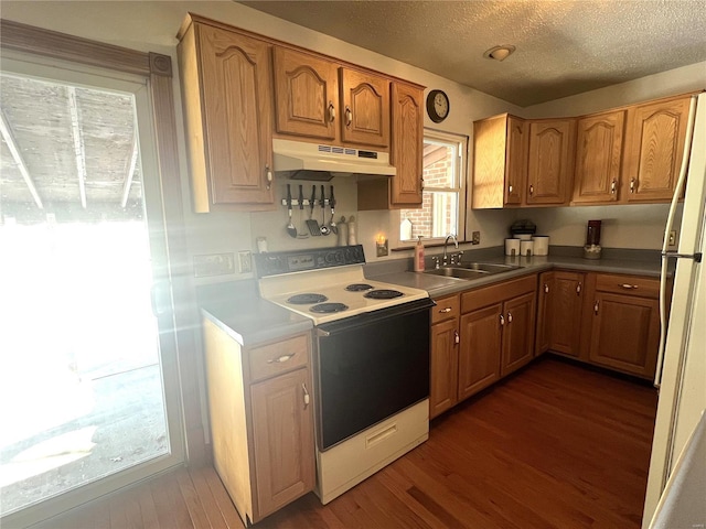 kitchen with a textured ceiling, under cabinet range hood, white appliances, a sink, and dark wood finished floors