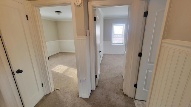 corridor featuring carpet floors, a wainscoted wall, and crown molding