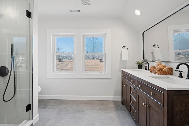 bathroom featuring vaulted ceiling, plenty of natural light, a stall shower, and a sink