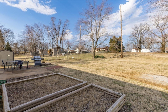 view of yard with a patio area and a garden