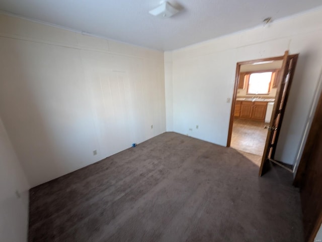 unfurnished room featuring carpet floors