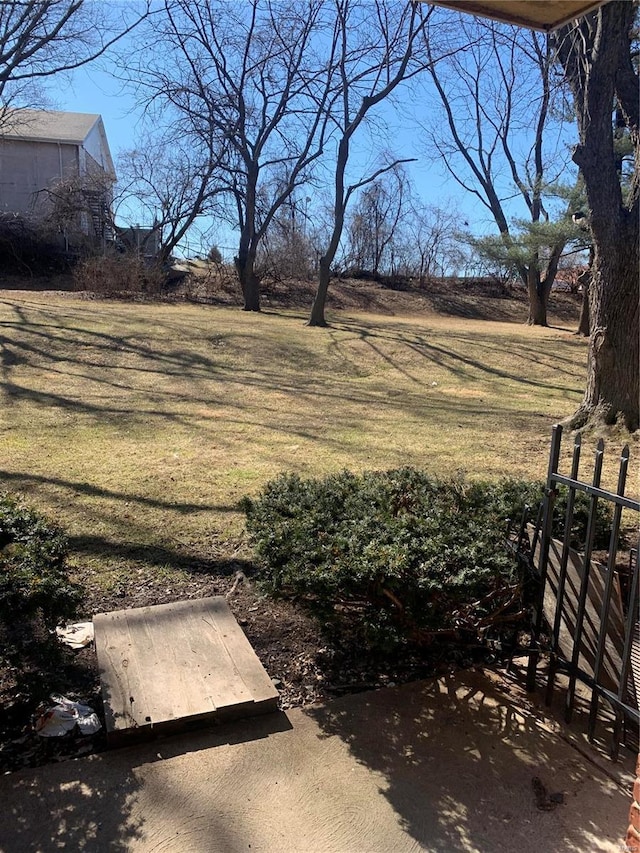 view of yard with a patio area