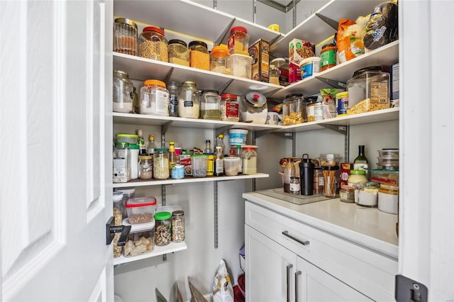 view of pantry