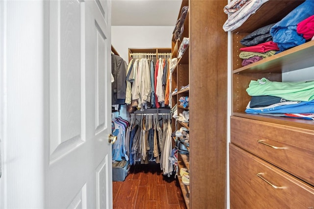 spacious closet featuring wood finished floors