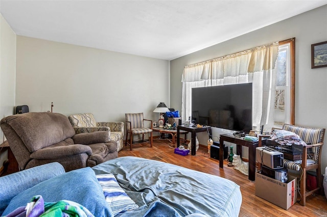 living room featuring wood finished floors