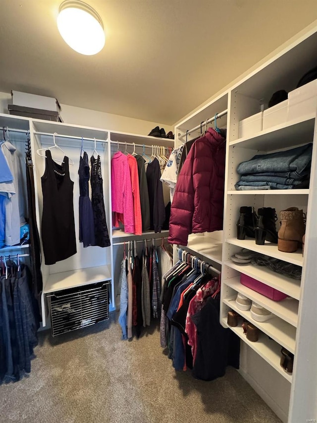 walk in closet with carpet flooring