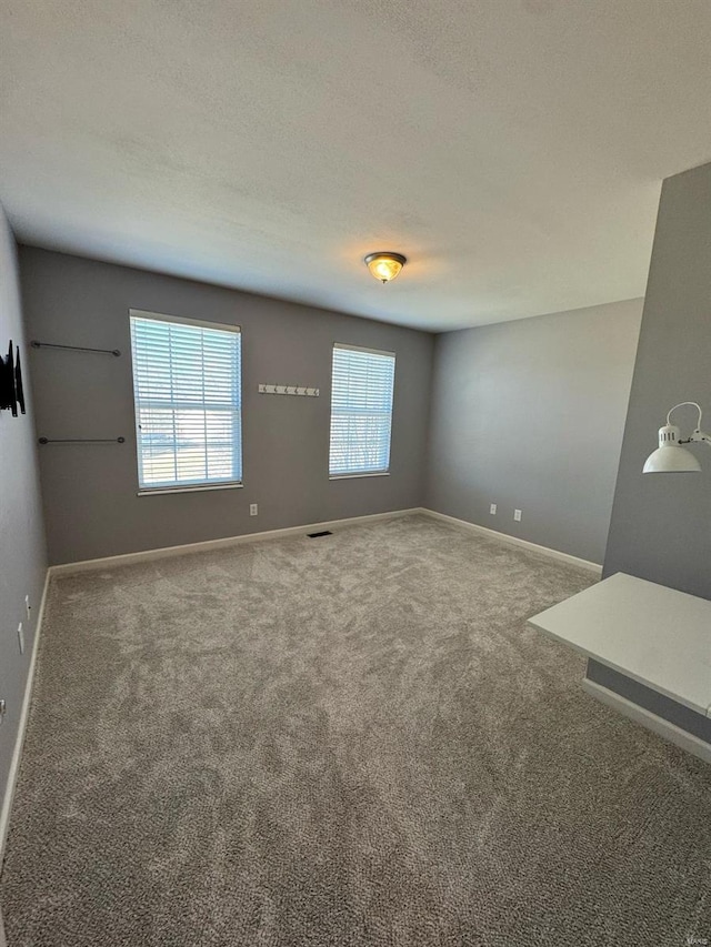 spare room with a textured ceiling, carpet floors, plenty of natural light, and baseboards