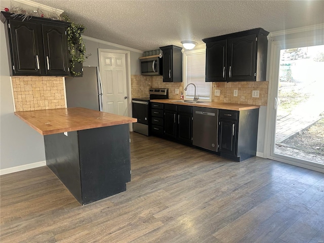 kitchen with appliances with stainless steel finishes, a sink, wood counters, and dark cabinets