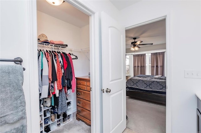 spacious closet featuring ceiling fan and carpet flooring