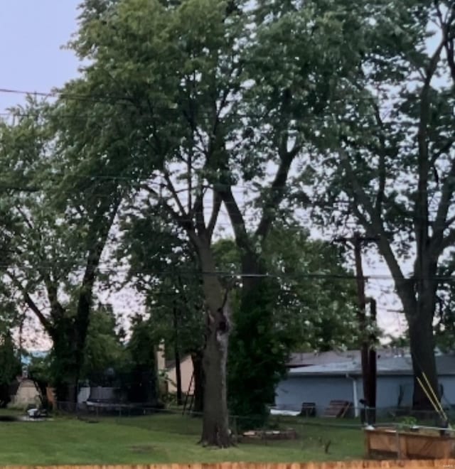 view of yard featuring a trampoline