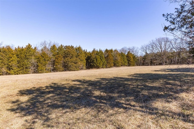 view of landscape featuring a wooded view