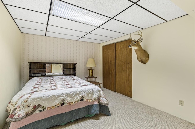 carpeted bedroom with a drop ceiling and wallpapered walls