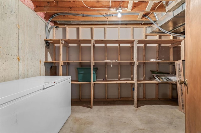 basement with fridge