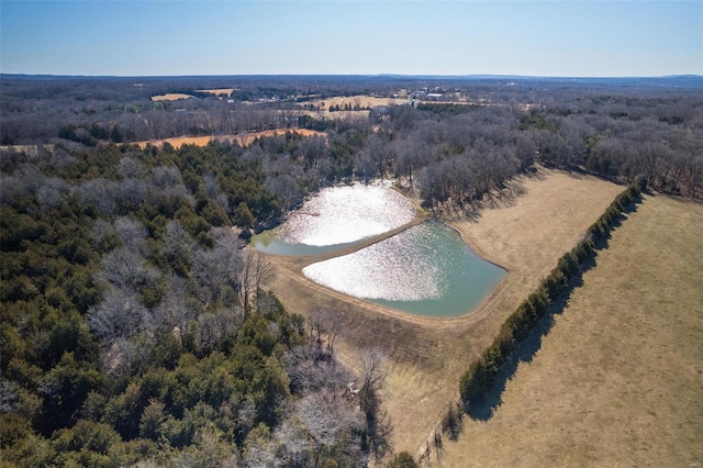 bird's eye view with a water view and a forest view