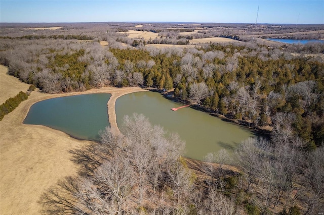 drone / aerial view with a water view and a view of trees