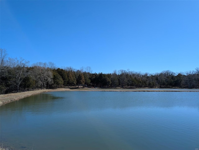 view of water feature with a forest view