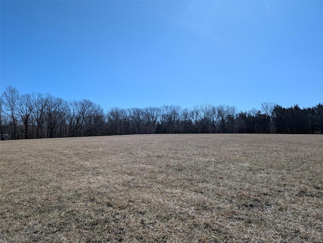 view of landscape featuring a wooded view and a rural view