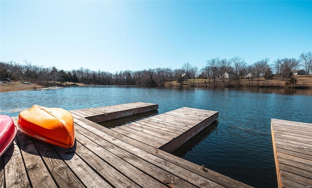 dock area with a water view