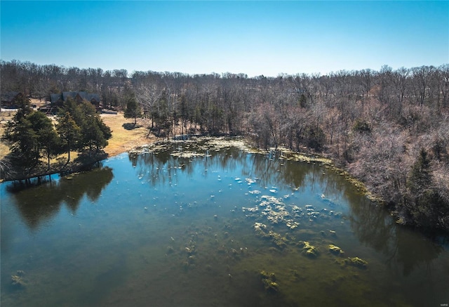 birds eye view of property featuring a forest view and a water view