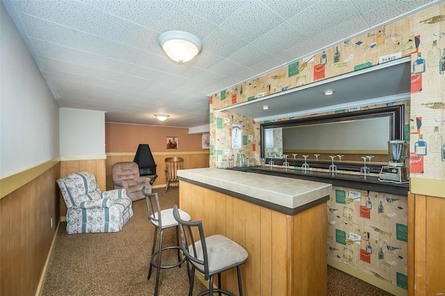 bar featuring a dry bar, wood walls, carpet, and wainscoting